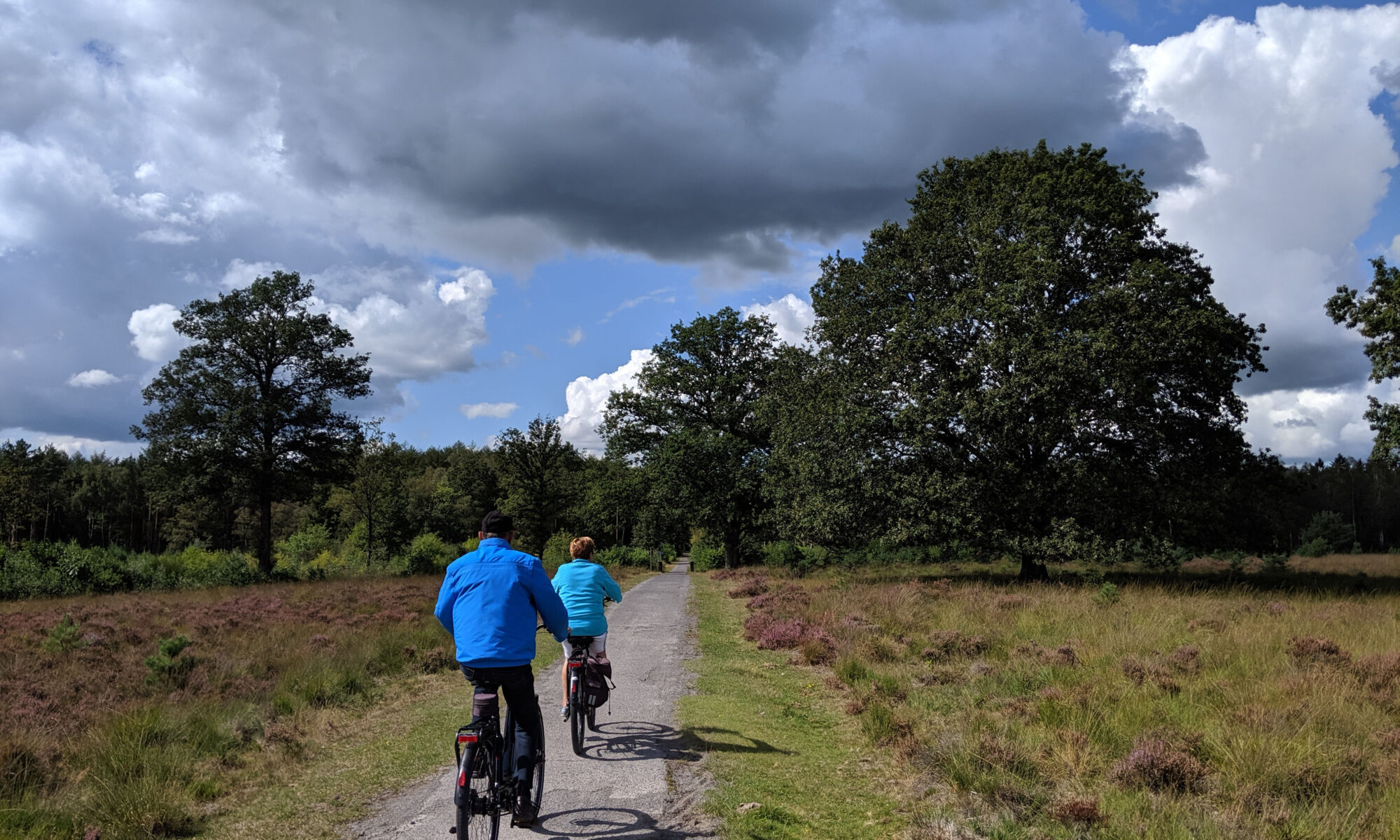 Activiteiten En Omgeving Vakantie In Nationaal Park Drents Friese Wold 7200